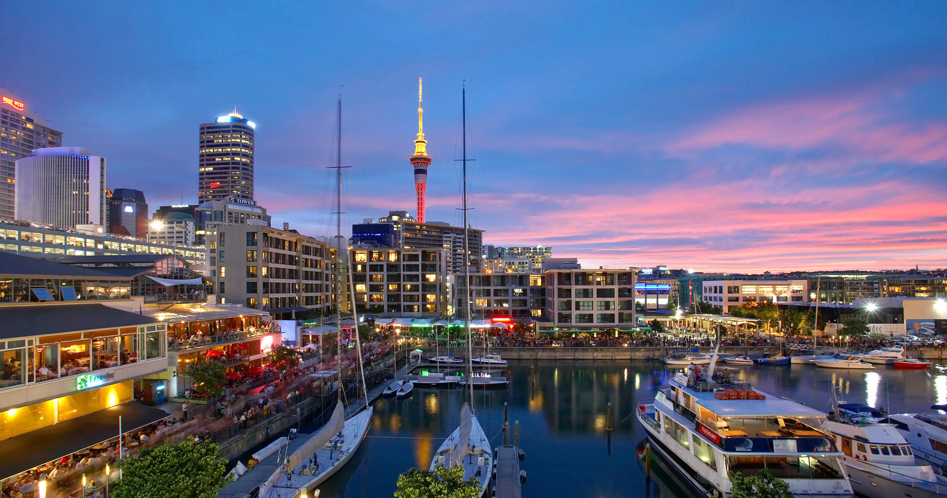 An Auckland Adventure