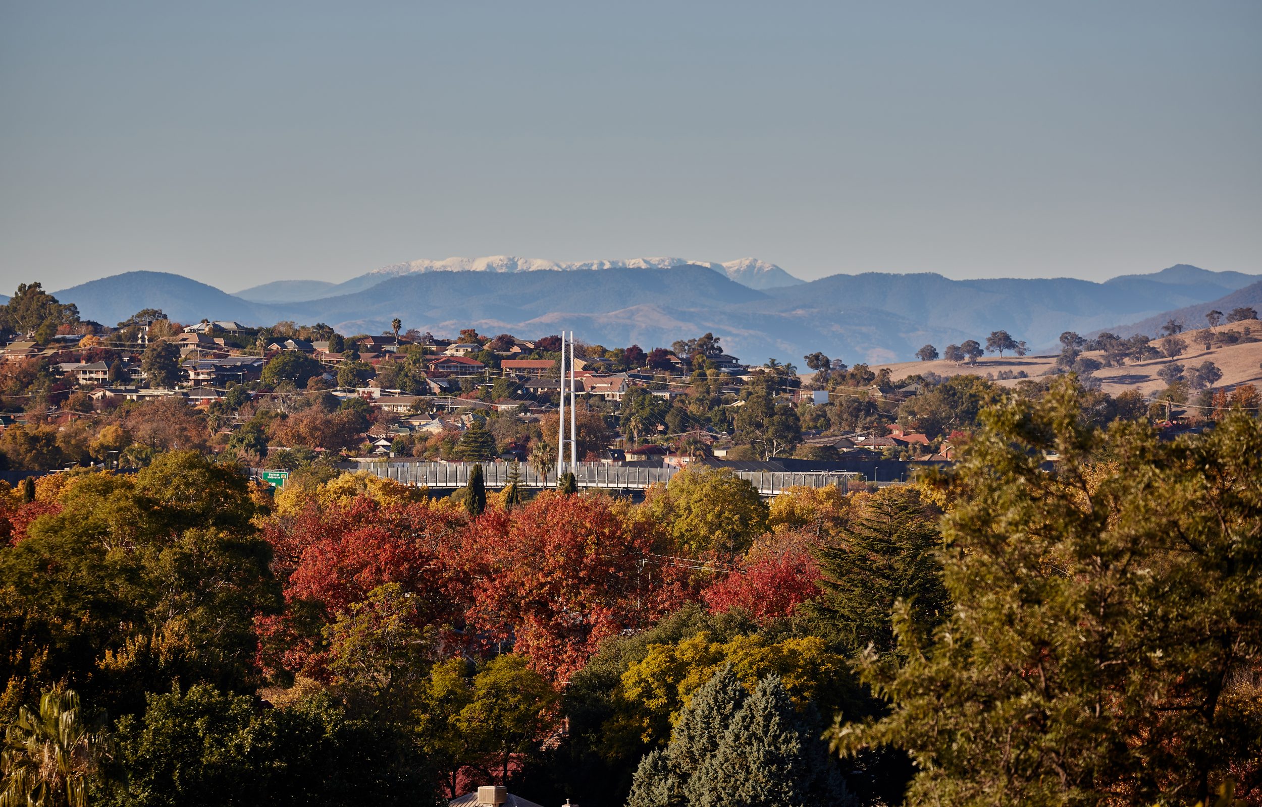 Albury Escape