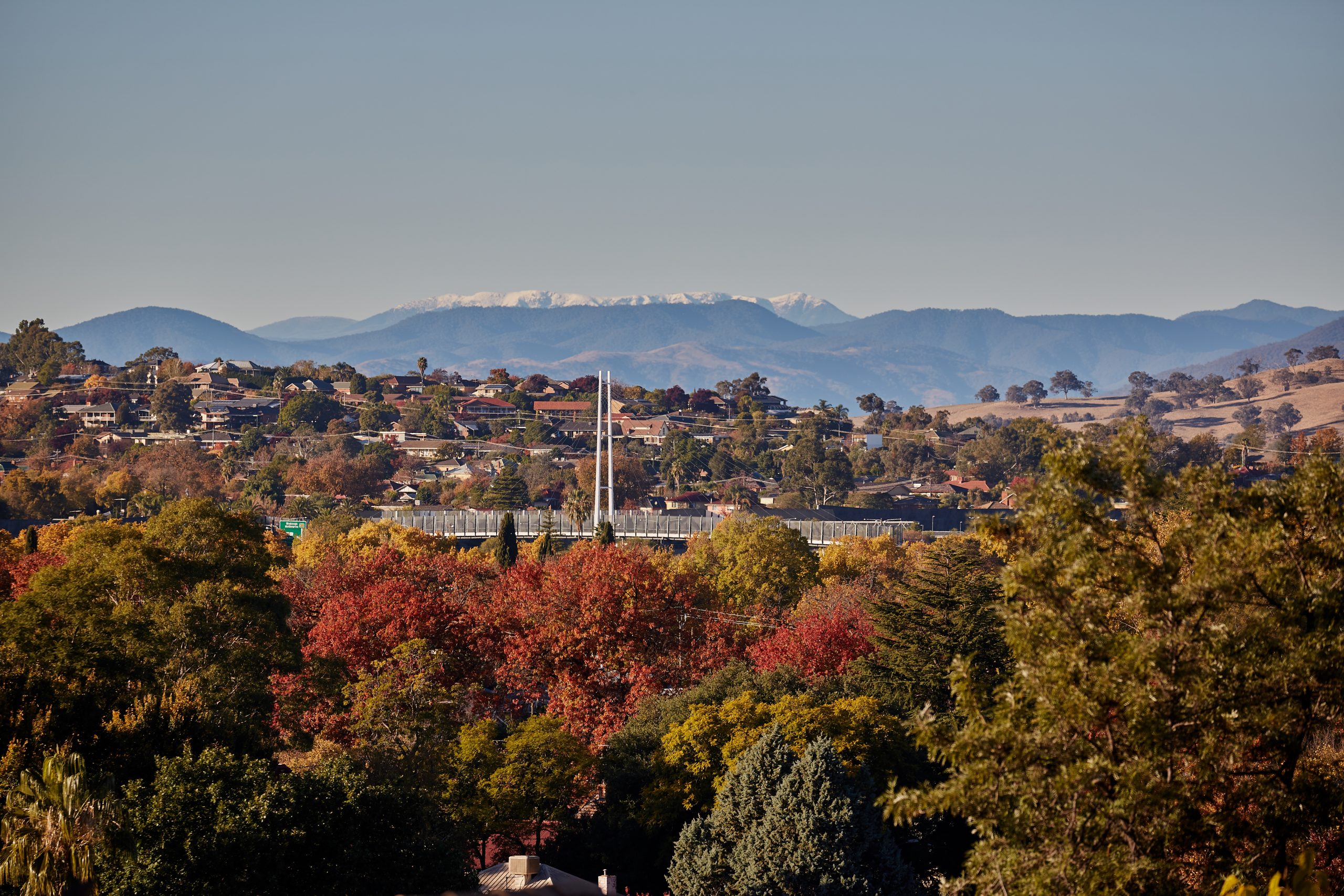 Albury Escape hero image