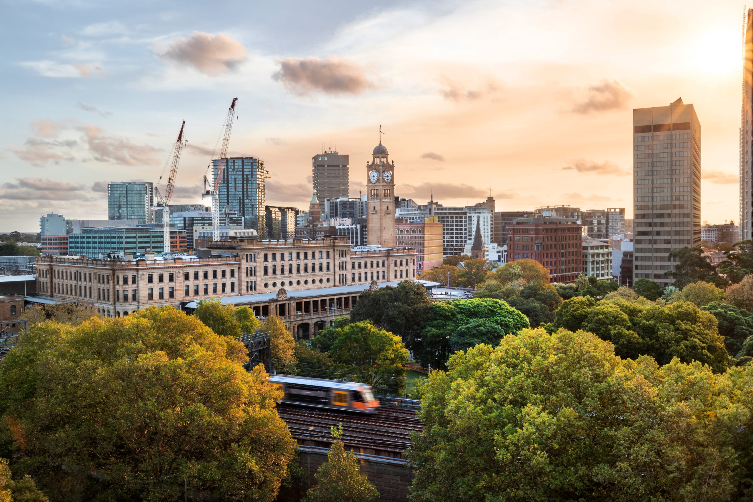 Stay in the Vibrant Heart of Sydney hero image