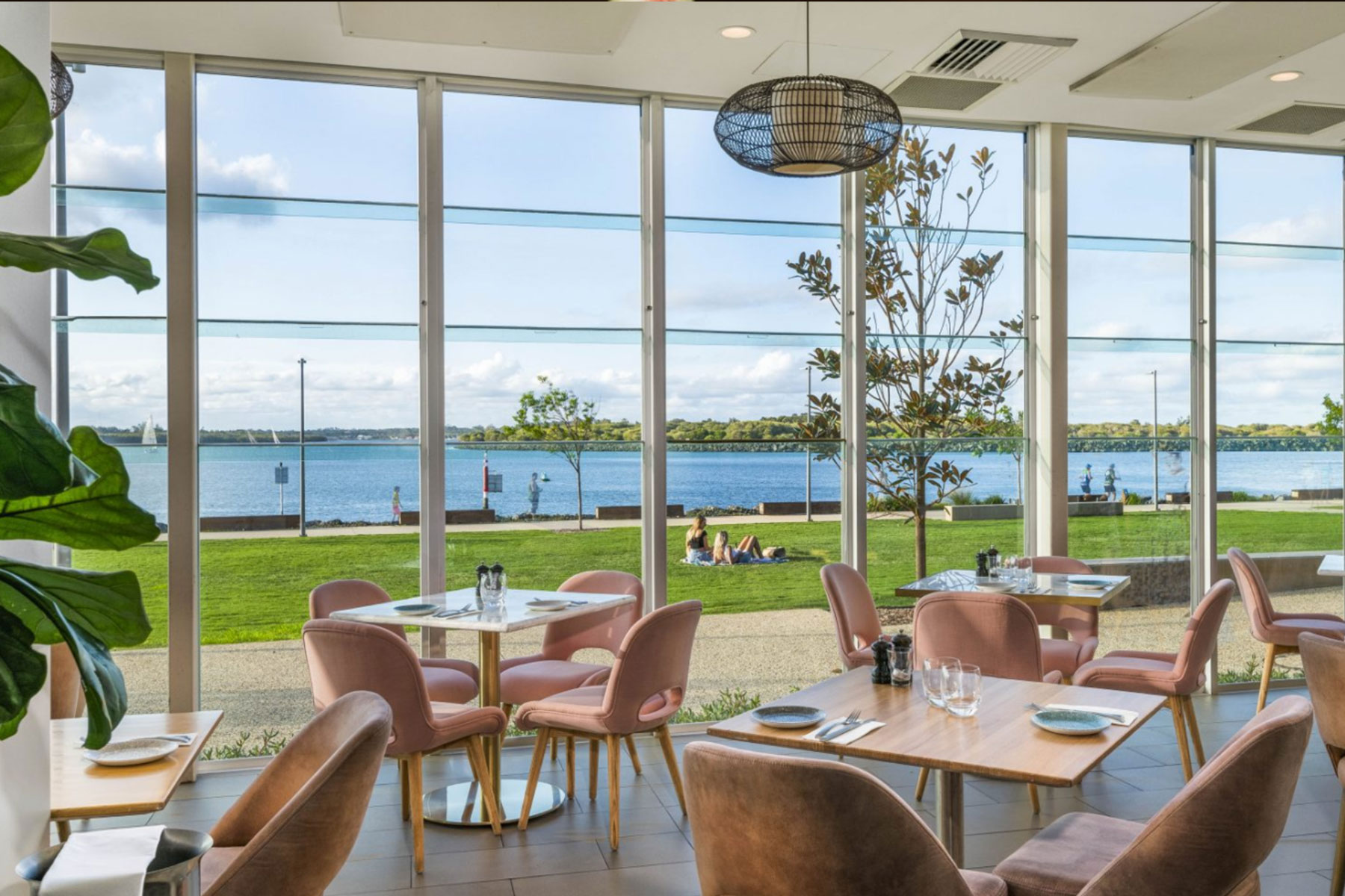 Zebu Bar & Restaurant image